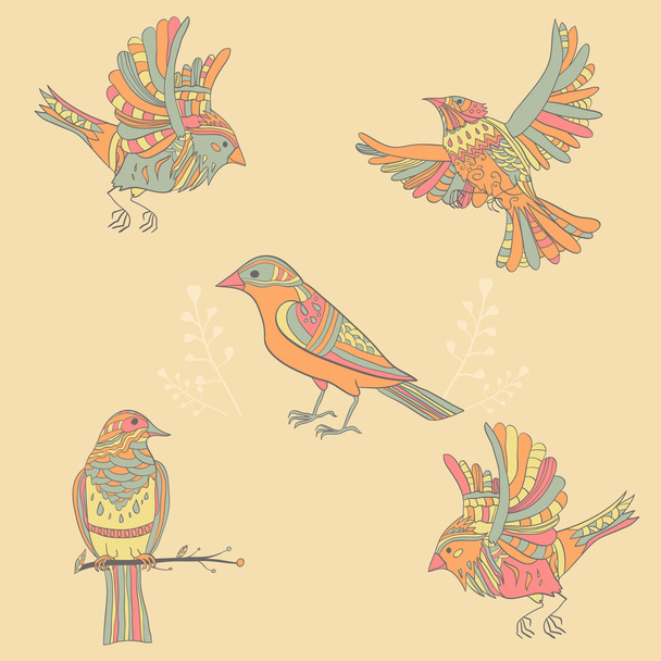 decorative birds  - Вектор,изображение