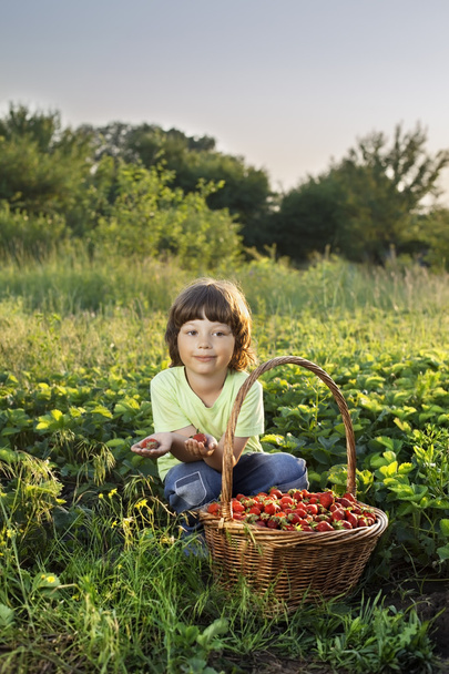 cheerful boy with basket of berries - Foto, afbeelding
