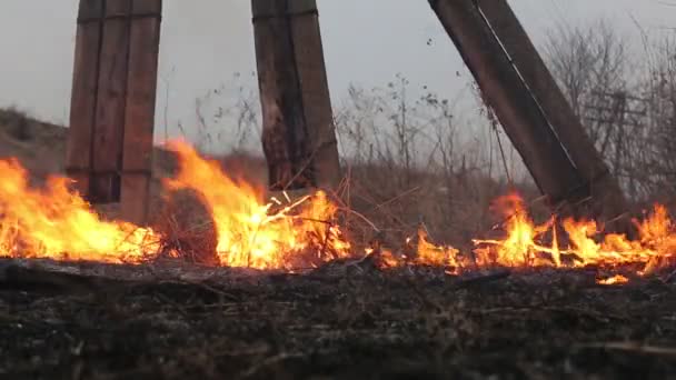 ogień i dym - Materiał filmowy, wideo