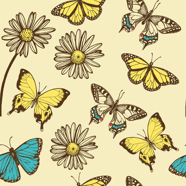 Butterflies, chamomiles background - Vector, Image