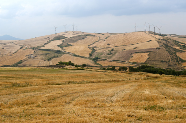 Turbine eoliche in Basilicata
) - Foto, immagini