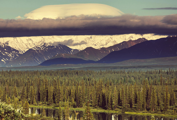 McKinley Berg in alaska - Foto, Bild