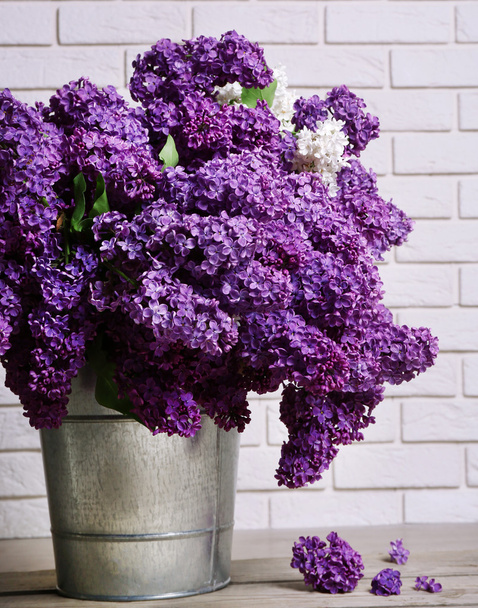 Beautiful lilac flowers - Fotografie, Obrázek