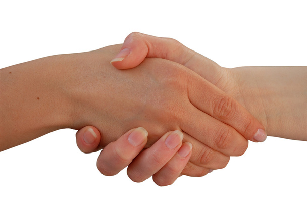 Handshake - Photo, Image