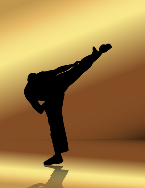 Ilustración de artes marciales
 - Foto, Imagen