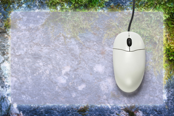Computer mouse on blank background - Photo, Image