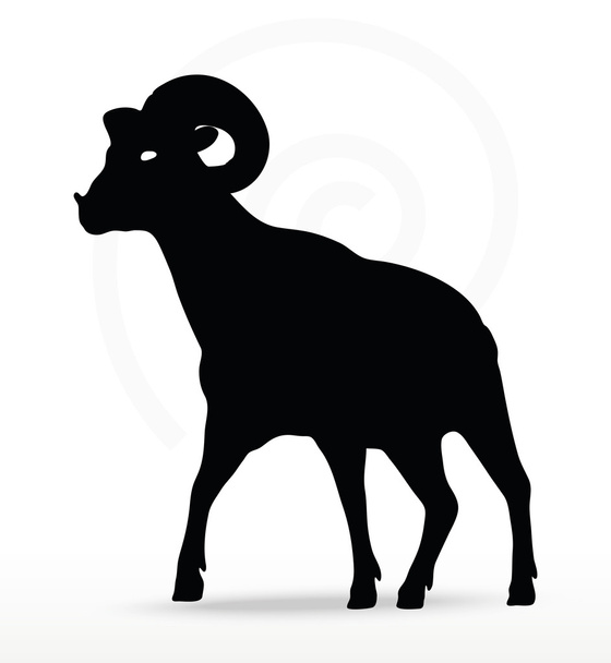 Силуэт большой рог овец в позу ходьбы
  - Вектор,изображение