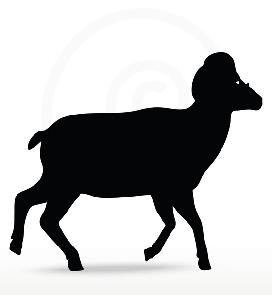 Силуэт большой рог овец в позу ходьбы
 - Вектор,изображение