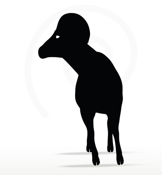 Силуэт большого рога овец в позу головы
 - Вектор,изображение