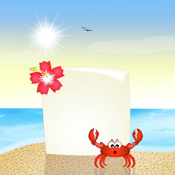 Crab on the beach - Fotó, kép
