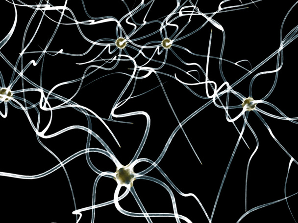 Цифровая иллюстрация вектора нейронов
 - Вектор,изображение