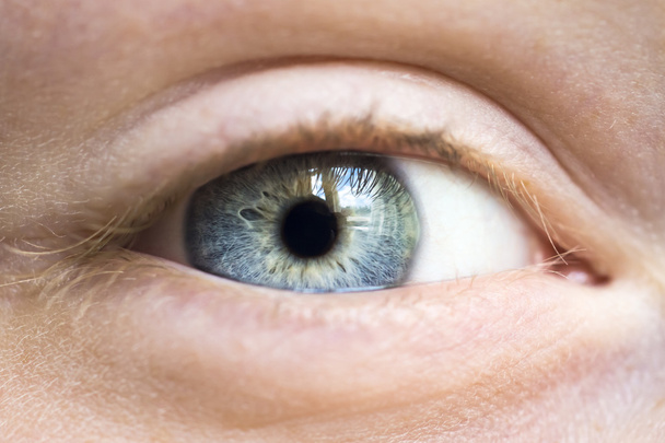 Grey human eye - Photo, Image