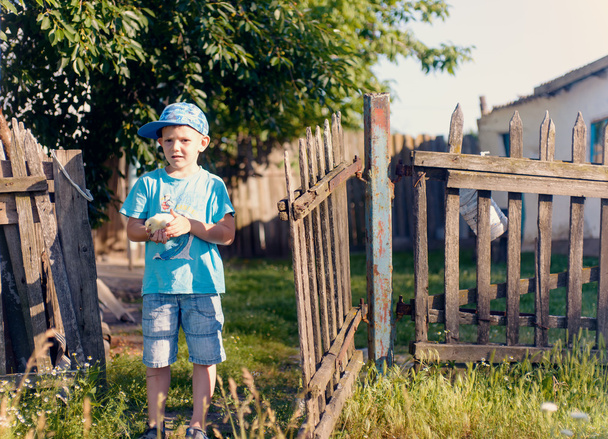 Jeune garçon tenant son poussin tandis que dans le jardin
 - Photo, image