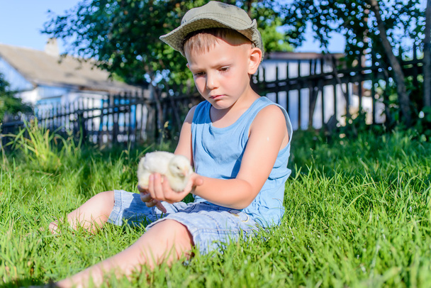 хлопчик, сидячи на траві, грають з нечітких Чик - Фото, зображення