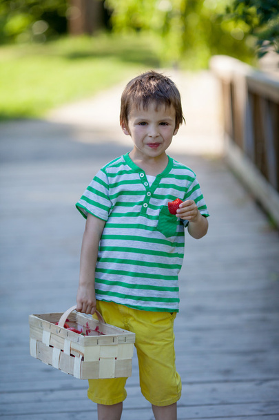 Cute little caucasian boy, eating strawberries in the park - Foto, Imagen