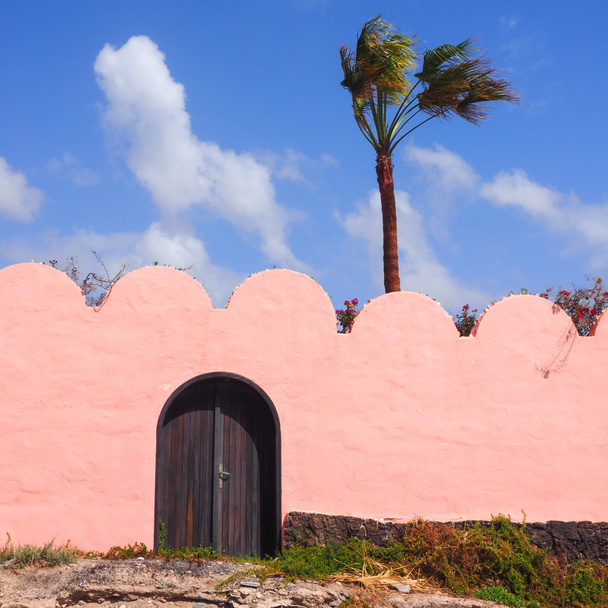 Рожева стіна з дерев'яними дверима і пальмами
 - Фото, зображення
