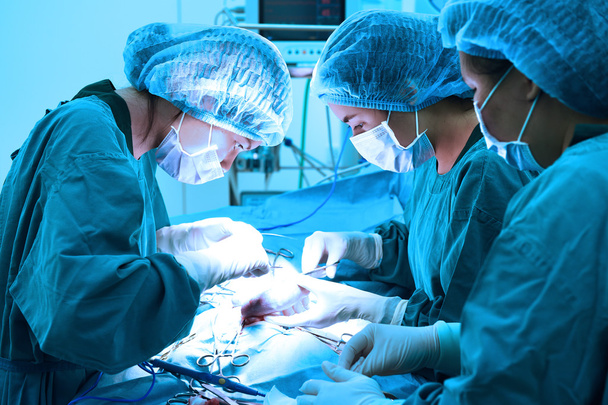 group of veterinarian surgery in operation room - Photo, image