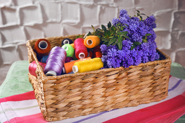 Beautiful muscari - hyacinth in wicker basket with spools of thread on wall background - Photo, image