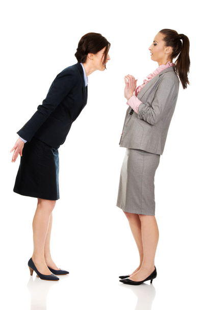 Two angry businesswomans. - Foto, imagen