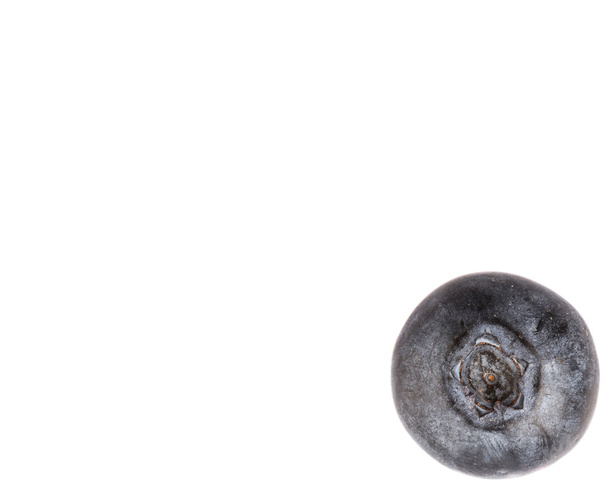 Blueberry Fruits - Photo, Image