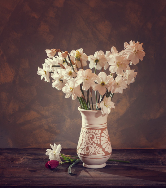 daffodils - Photo, Image