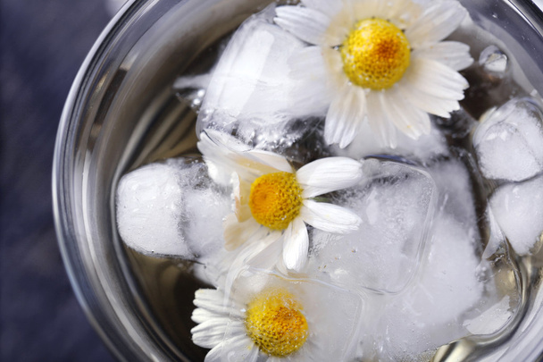 Glass of cold chamomile tea with ice cubes and chamomile flowers, close-up - Foto, Bild