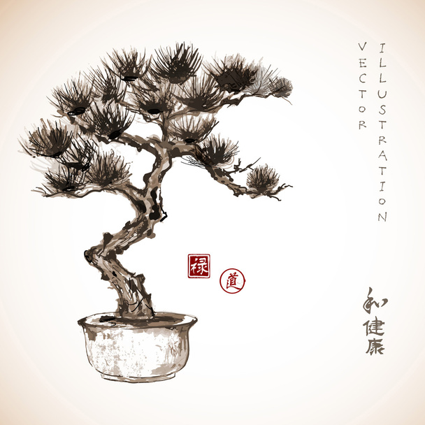 Bonsai pine tree - Vettoriali, immagini