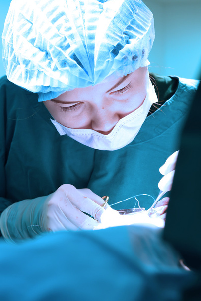 veterinarian surgery in operation room - Fotoğraf, Görsel