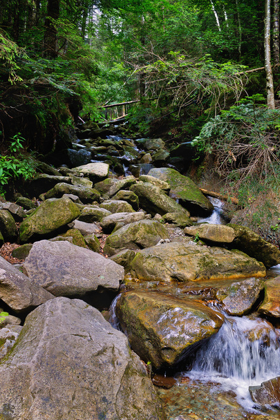 Kárpát hegyi patak - Fotó, kép