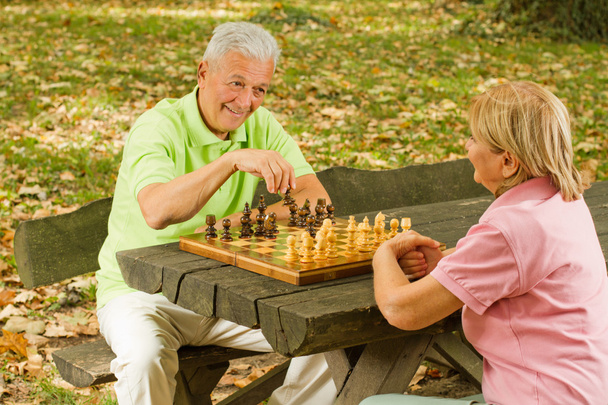 Felice coppia di anziani che gioca a scacchi su una panchina del parco
 - Foto, immagini