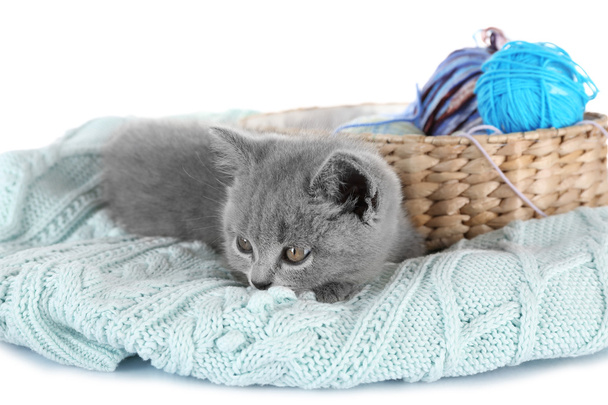 kitten near wicker basket with skeins of thread - Foto, Bild