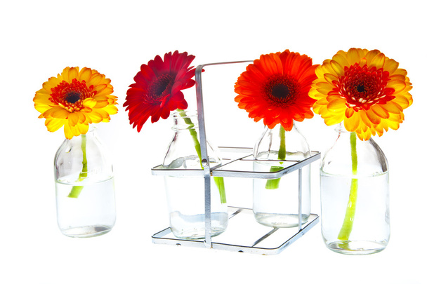Fleurs de printemps dans des vases
 - Photo, image