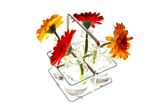 Tray with springflowers - Photo, Image