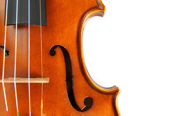 Geige isoliert - Foto, Bild