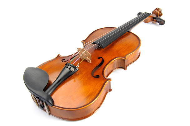 Ізолят скрипка
 - Фото, зображення