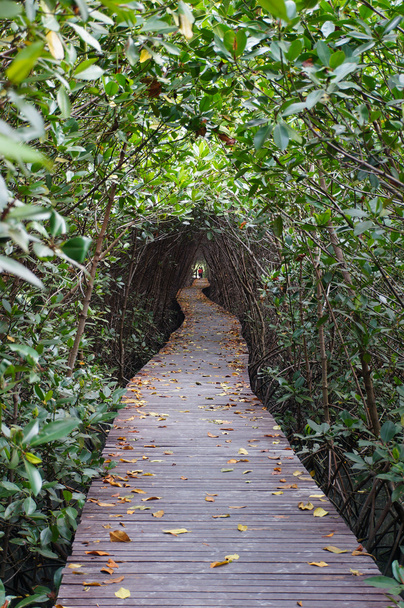 A mangrove temeto Petchaburi fahíd - Fotó, kép