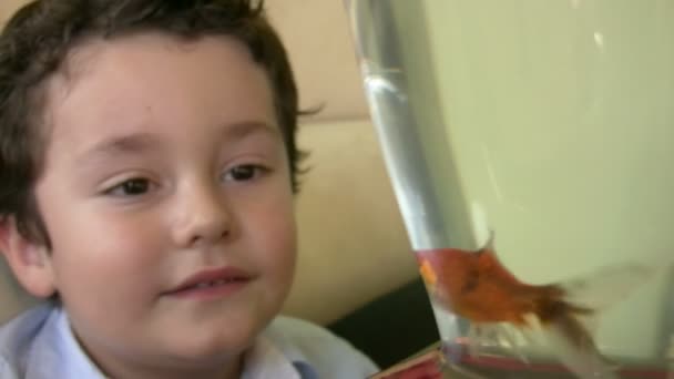 Little boy likes fish1 - Footage, Video