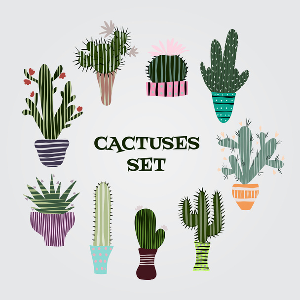 Ilustración plana y colorida de plantas suculentas y cactus en macetas. Conjunto gráfico botánico vectorial con flores lindas
. - Vector, Imagen