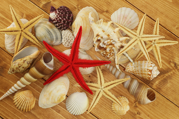 Conchas marinas y estrellas de mar sobre fondo de madera marrón
 - Foto, Imagen