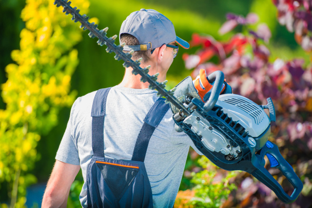 Садовник с отделкой изгороди
 - Фото, изображение