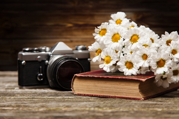 Photo camera, daisies and a book - Photo, Image