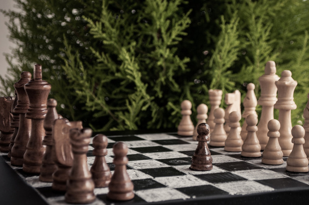 satranç oyunu - Fotoğraf, Görsel