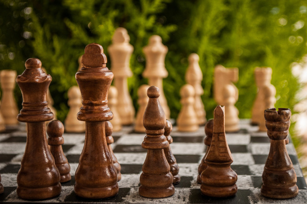 schaakspel - Foto, afbeelding