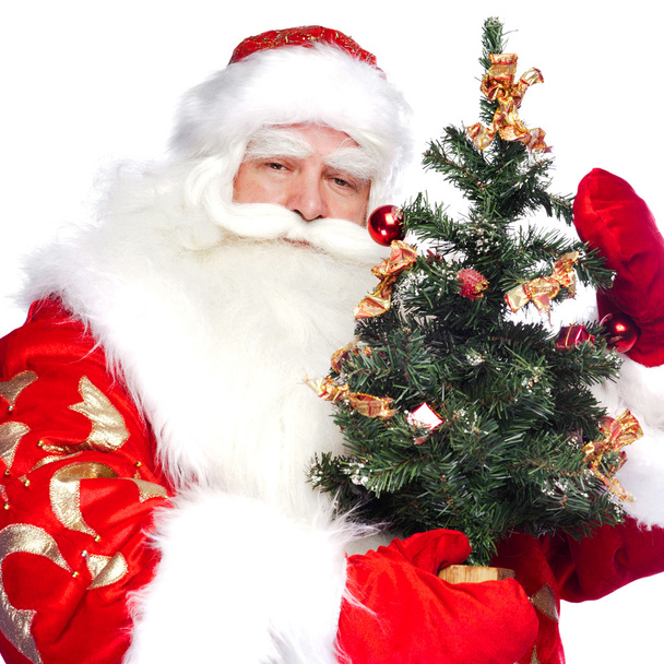Christmas theme: Santa Claus holding christmas tree and his bag - Fotó, kép