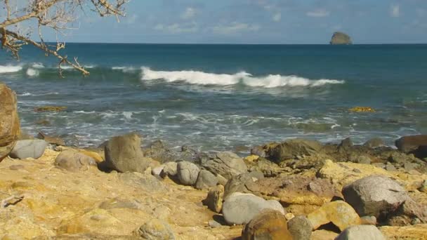 skaliste wybrzeże - Materiał filmowy, wideo