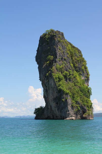 Vuori merikrobissa, Thaimaassa
 - Valokuva, kuva