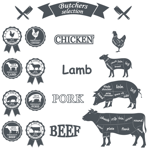 vector diagram cut carcasses of chicken, pig, cow, lamb - Вектор, зображення