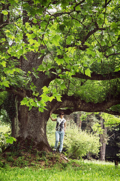 Young woman under the massive maple tree - 写真・画像