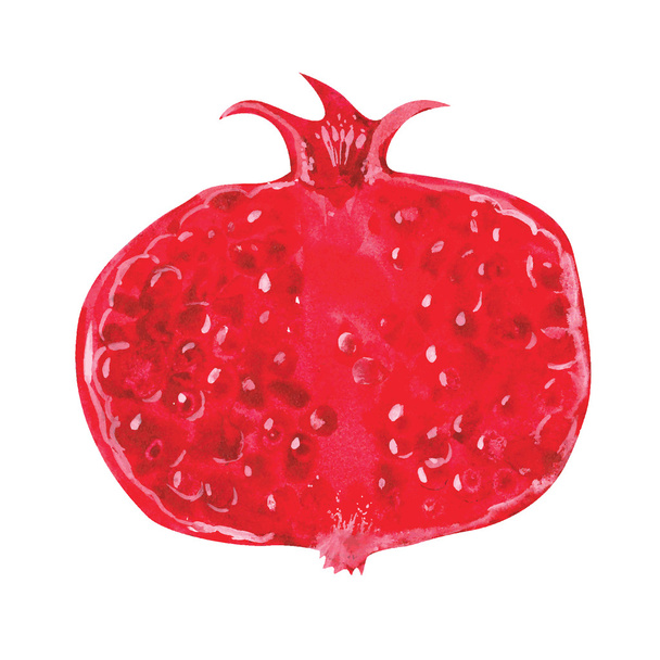 Watercolor pomegranate - Vettoriali, immagini