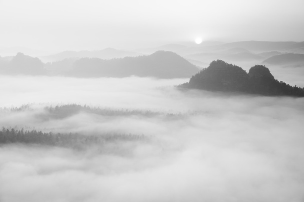 Manhã melancólica enevoada. Vista para o longo vale profundo cheio de névoa fresca da primavera. Paisagem dentro do amanhecer após a noite chuvosa
 - Foto, Imagem